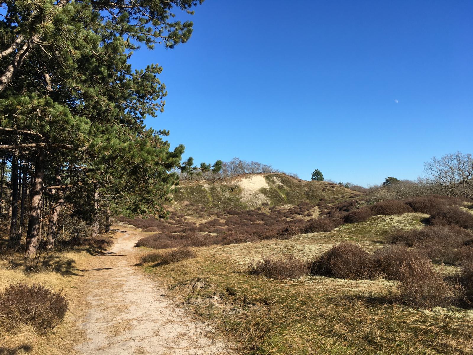 Heiloo en omgeving